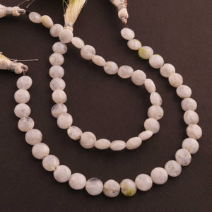 1  Strand White Moonstone Smooth   Briolettes -Coin Shape  Briolettes  7mm-8mm-8 Inches BR815