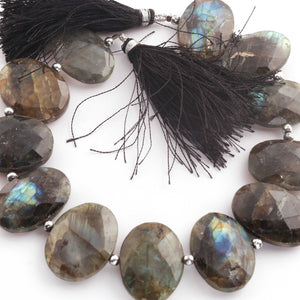 1  Strand Labradorite Faceted Briolettes  -Oval Shape Briolettes - 18mm-26mm 8.5 Inches BR1316