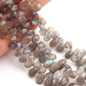 1 Strand Labradorite Faceted  Briolettes -Finest Quality Pear Drop Beads 8mmx6mm-12mmx7mm 10 Inches BR1476