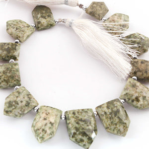 1  Strand Green Jasper Faceted  Briolettes  - Fancy  Briolettes -13mmX16mm-23mmx16mm-8.5 Inches BR1661 - Tucson Beads