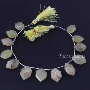 1 Long Strand Yellow Opal Briolettes, heksagon Shape Yellow Opal Beads, Gemstone Briolettes , 8 Inches, 18mmx12mm-21mmx14mm BR4019 - Tucson Beads