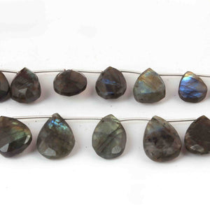 1 Strand Natural Labradorite Faceted Pear Shape Briolettes - Jewelry Making Supplies - 23mmx15mm-18mmx12mm 9 Inch BR3242 - Tucson Beads