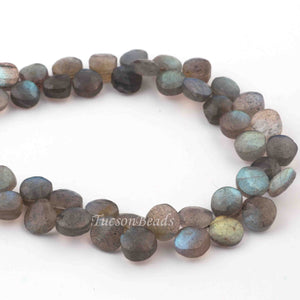 1 Strand  Labradorite Faceted Coin Shape Briolettes - Side Drill Beads - Labradorite Briolettes  6mm-7mm 9.5 Inches BR0258 - Tucson Beads