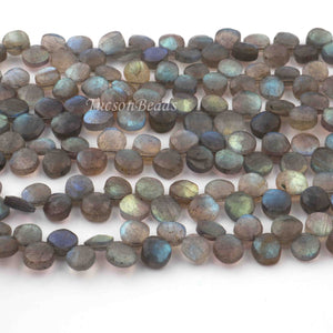 1 Strand  Labradorite Faceted Coin Shape Briolettes - Side Drill Beads - Labradorite Briolettes  6mm-7mm 9.5 Inches BR0258 - Tucson Beads