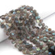 1 Strand  Labradorite Faceted Coin Shape Briolettes - Side Drill Beads - Labradorite Briolettes  6mm-7mm 9.5 Inches BR0258 - Tucson Beads