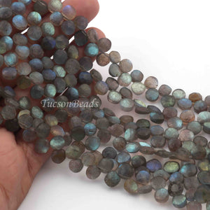 1 Strand  Labradorite Faceted Coin Shape Briolettes - Side Drill Beads - Labradorite Briolettes  6mm-7mm 9.5 Inches BR0258 - Tucson Beads