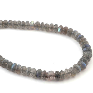 1  Strand  Labradorite Faceted Rondelles - Rondelle Beads - Labradorite Rondelles 8mm 15.5 Inches BR0255 - Tucson Beads