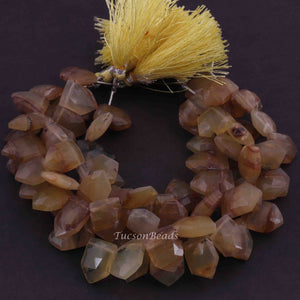 1 Strand Shaded  Yellow Opal Briolettes - Pentagon Shape Faceted Beads Briolettes-17mmx6mm-16mmx11mm 9 inch BR3164 - Tucson Beads