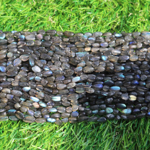 5 Strand Labradorite  Smooth Briolettes  -Assorted Shape Briolette  10mmx4mm - 13 Inches BR0367 - Tucson Beads