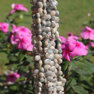 1 Strand Blue & White Silverite Faceted Briolettes  -Pear Shape Briolette 9mmx7mm - 8 Inches BR0368 - Tucson Beads