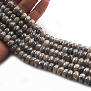 1  Long Strand Gray Moonstone Silver Coated Faceted Rondelles -Round Shape Roundels 10mm 15 Inches BR0668 - Tucson Beads