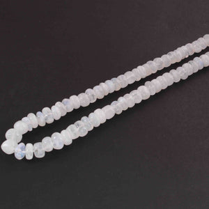 1 Long Strand White Rainbow Moonstone Faceted Rondelles - Round Shape Rondelles - 8mm-9mm -16 Inches BR01875 - Tucson Beads