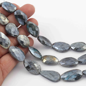 1 Strand Excellent Quality  Labradorite Silver Coated Briolettes- Assorted Shape Briolettes - 17mmx13mm-31mmx13 - 7.5 Inches- BR2684 - Tucson Beads