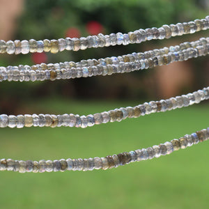 1  Strand  Labradorite Faceted Rondelles - Roundelle Beads 6mm 16 Inches BR4110 - Tucson Beads