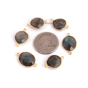 10 Pcs Labradorite Faceted Assorted Shape 24k Gold Plated Connector - Labradorite Assorted 26mmx15mm-22mmx15mm PC766 - Tucson Beads
