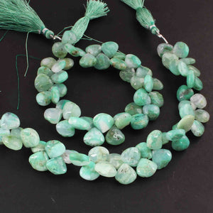 1  Strand Chrysoprase Smooth Briolettes - Heart Shape Briolettes -5mmx6mm-12mmx12mm - 8.5 Inches BR01980 - Tucson Beads