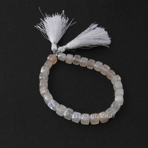 1 Strand White Silverite Faceted Briolettes -Cube Briolettes 7mm 8 Inches BR1964 - Tucson Beads