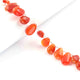 1 Strand  Carnelian Smooth Briolettes -Pear Briolettes 9mmx5mm-15mmx9mm 8 Inches BR550 - Tucson Beads