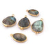 5  Pcs Labradorite  Faceted Assorted Shape 24k Gold Plated Pendant/Connector - 25mmx14mm-17mmx9mm  PC736 - Tucson Beads