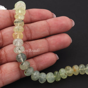 1 Strand Prehnite Faceted Rondelles  -Faceted Round Shape  Rondelles - 9mm -8 Inches BR1217 - Tucson Beads