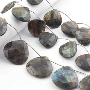 1  Strand Labradorite Faceted Briolettes -Heart Shape  Briolettes  28mmx29mm31mmx32mm -8 Inches BR3671 - Tucson Beads