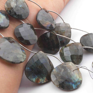 1  Strand Labradorite Faceted Briolettes -Heart Shape  Briolettes  28mmx29mm31mmx32mm -8 Inches BR3671 - Tucson Beads