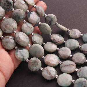 1 Strand Shaded Emerald Faceted Coin  Briolettes - Emerald Faceted Coin Briolette 15mm- 9 Inches BR01442 - Tucson Beads