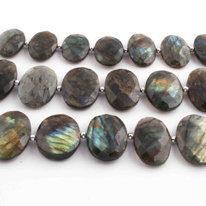 1  Strand Labradorite Faceted Briolettes  -Oval Shape Briolettes - 18mm-26mm 8.5 Inches BR1316 - Tucson Beads