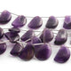 1 Long Strand Amethyst Smooth Briolettes - D Shape Briolettes - 19mmx13mm-15mmx11mm - 8 Inches BR01577 - Tucson Beads