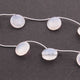 1 Strand Natural Chalcedony  Round Shape Briolettes -  Round Shape Briolettes 16mmx16mm 7.5 inches BR3506 - Tucson Beads