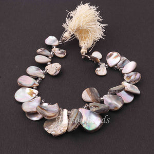 1 Strand Mother Of Pearl Faceted Fancy Shape Biolettes- Mop Briolettes, Pearl beads 24mmx17mm-11mmx8mm, 7.5 inches BR4260 - Tucson Beads