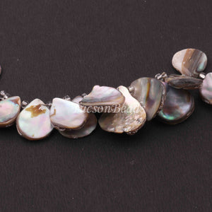 1 Strand Mother Of Pearl Faceted Fancy Shape Biolettes- Mop Briolettes, Pearl beads 24mmx17mm-11mmx8mm, 7.5 inches BR4260 - Tucson Beads