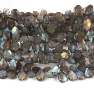 1 Strand Labradorite Pear Shape Faceted  Briolettes , jewelry making supplies-  12mmx7mm 9 inche BR0527 - Tucson Beads