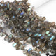 1 Strand Labradorite Pear Shape Faceted  Briolettes , jewelry making supplies-  12mmx7mm 9 inche BR0527 - Tucson Beads