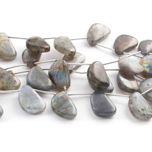 1  Long Strand Labradorite Faceted Briolettes Assorted Shape Briolettes - 16mmx11mm-8  Inches BR01514 - Tucson Beads