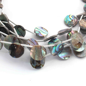 1  Long Strand Abalone Shell Faceted Briolettes  -Coin Shape Briolettes  -11mm - 8.5 Inches BR01643 - Tucson Beads