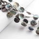 1  Long Strand Abalone Shell Faceted Briolettes  -Coin Shape Briolettes  -11mm - 8.5 Inches BR01643 - Tucson Beads