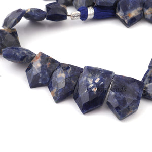 1 Strand Finest Quality Sodalite Faceted Hexagon Shape Briolettes - Lapis lazuli Hexagon Shape Briolettes 20mmx14mm-11mmx9mm 9 Inches BR4092 - Tucson Beads