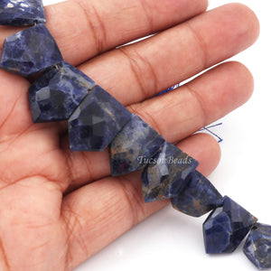 1 Strand Finest Quality Sodalite Faceted Hexagon Shape Briolettes - Lapis lazuli Hexagon Shape Briolettes 20mmx14mm-11mmx9mm 9 Inches BR4092 - Tucson Beads