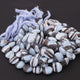 1 Strand Boulder  Opal Faceted Coin Briolettes- Boulder Opal Coin Shape Briolettes  14mm-9mm 9 Inches BR4088 - Tucson Beads