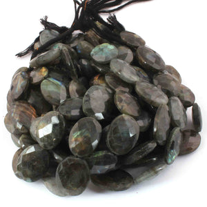 1  Strand Labradorite Faceted Briolettes  -Oval Shape Briolettes  20mmx27mm - 20mmx28mm 10 Inches BR0588 - Tucson Beads