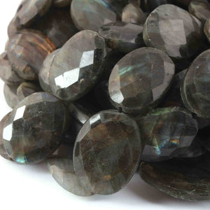 1  Strand Labradorite Faceted Briolettes  -Oval Shape Briolettes  20mmx27mm - 20mmx28mm 10 Inches BR0588 - Tucson Beads