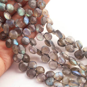 1  Strand  Labradorite Faceted Heart Briolettes - Labradorite Heart Briolettes  6mmx5mm -9mmx8mm-8 inches BR02291 - Tucson Beads