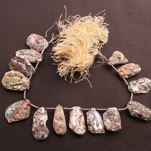 1 Strand Mother Of Pearl Faceted Fancy Shape Biolettes- Mop Briolettes, Pearl beads 18mmx13mm-24mmx15mm, 8 inches BR241 - Tucson Beads