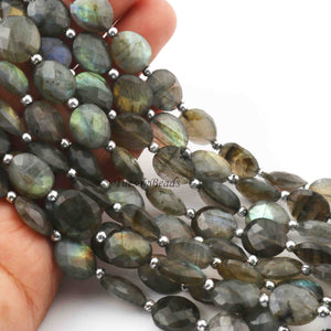 1 Strand Labradorite  Faceted Briolettes -Oval Shape Briolettes - 14mmx13mm-7.5 inch BR0149 - Tucson Beads