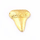 5 Pcs Beautiful Designer Shark Tooth 24k Gold Plated Over Solid Copper 23mmx20mm GPC561 - Tucson Beads